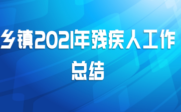 乡镇2021年残疾人工作总结